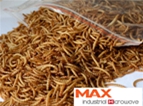 Mealworm Dryer